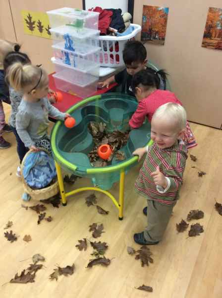 toddlers playing with leaves in a sensory bin